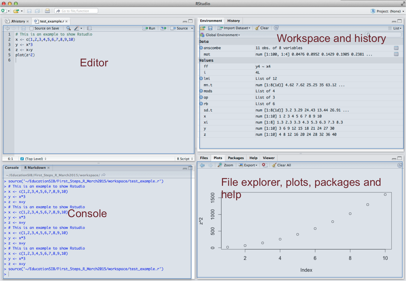 r-studio-env